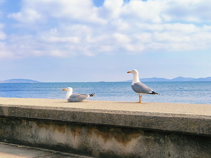 Kadıköy Sahili